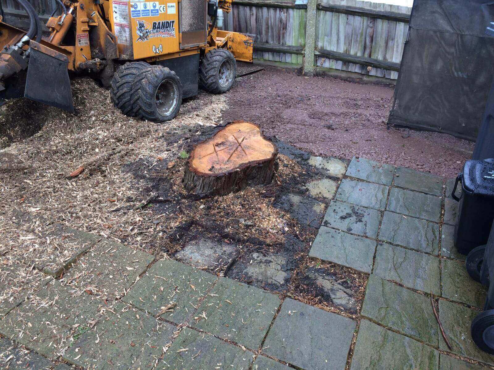 Tree Surgeons Merton SW19/CR4/SW20